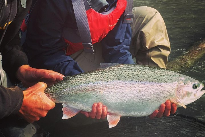 Full day fishing trips - Photo 1 of 8